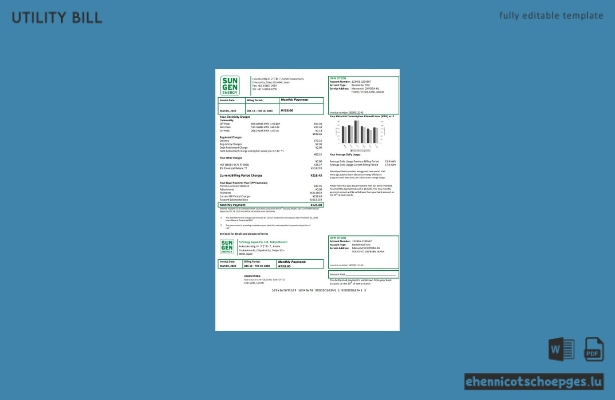 Beispielrechnung der Niederlassung Tokio von S-Energy Japan Co. Ltd. (Vorschau)
